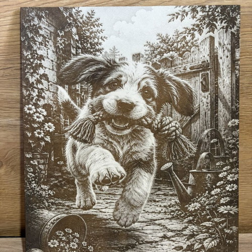 Laser Engraved Picture new, 30x24 cm