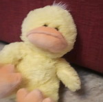 Plush duck like new