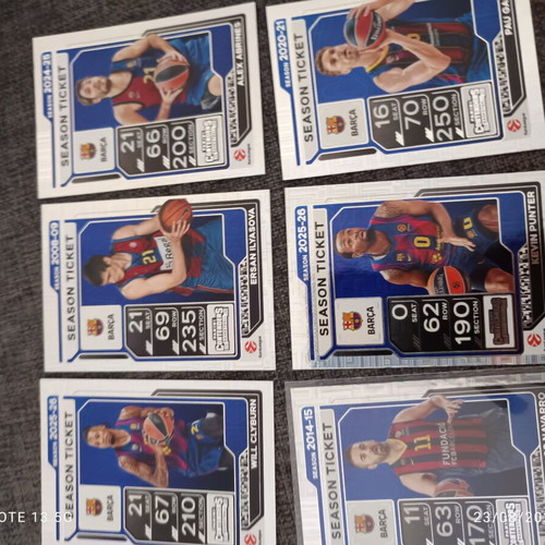 Panini basketball season ticket cards, set