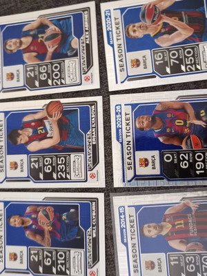Panini basketball season ticket cards, set
