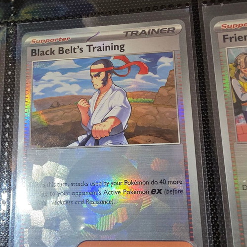 Black Belt's Training Pokeball Pokémon like new