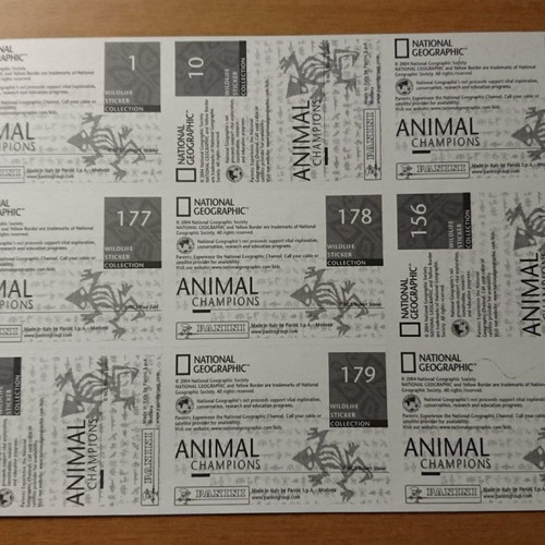 National Geographic magazines used, December 1998 and February 1999 with 9 Panini stickers