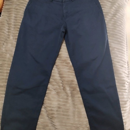 Tommy Hilfiger THFLEX men's pants used, blue