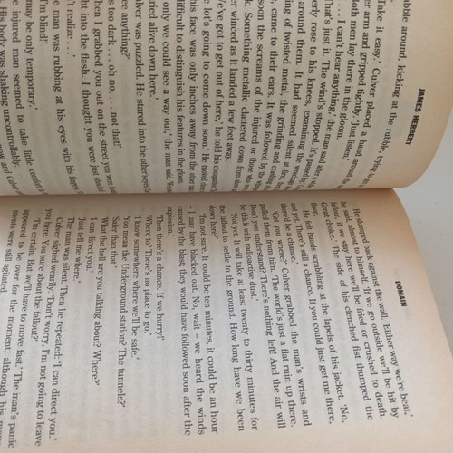 Domain book by James Herbert