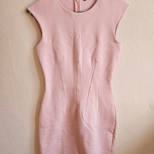 Brand New Zara Body con dress corset design