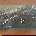  2006 ΤΕΥΧΙΔΙΟ EUROPA CEPT ΑΣΦΡΑΓΙΣΤΟ ΧΩΡΙΣ ΣΑΡΝΙΕΡΑ