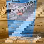  Cetoddle pokemon