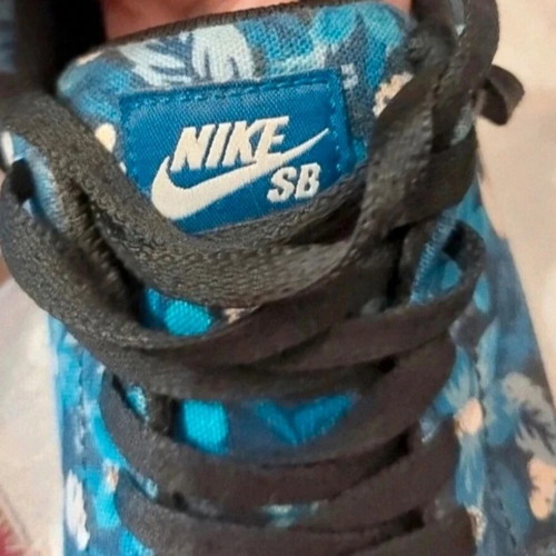 Nike SB skater shoes floral blue used