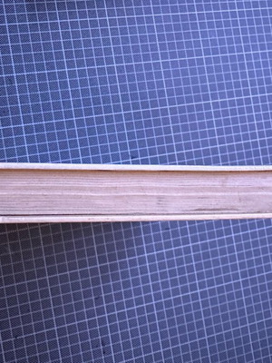 The Human Comedy used book