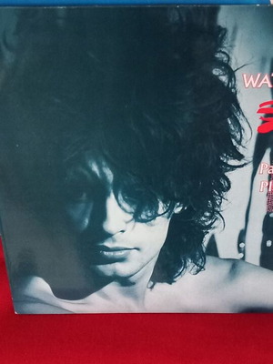 The Waterboys A Pagan Place δίσκος βινυλίου