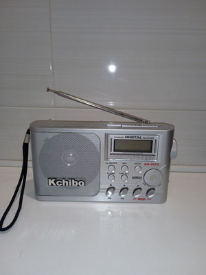 Portable Radio digital receiver with AUX new