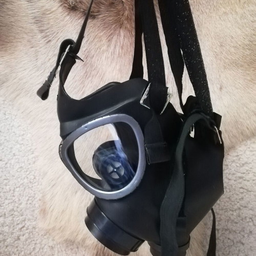 Gas mask, collectible item