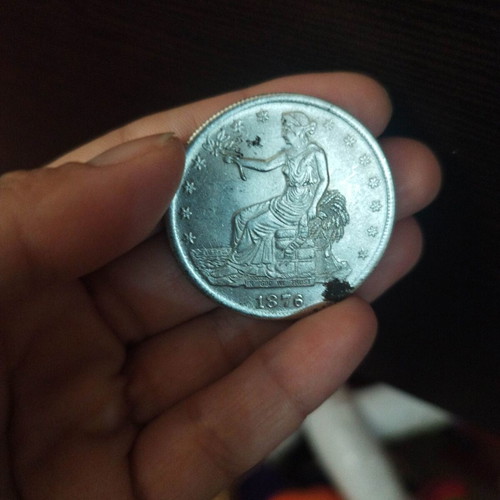 USA trade dollar 1876 used, not silver