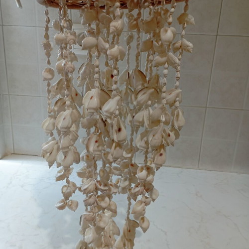Shell hanging decoration boho style used, natural white shells