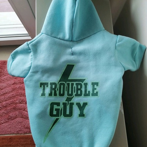 Dog clothing used, warm sweatshirt size M, soft