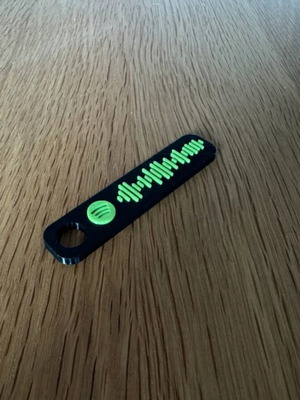 Custom Spotify keychain for your favorite song