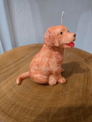 Handmade dog-shaped candle