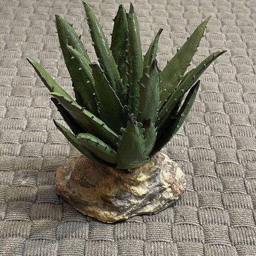 Decorative Aloe Plant for Aquarium and Terrarium, new