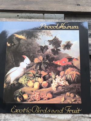 Exotic Birds and Fruit used vinyl 1974 Greek rock