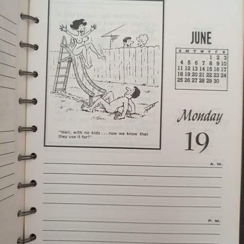 Daily-Dilly 1978 American cartoon calendar like new