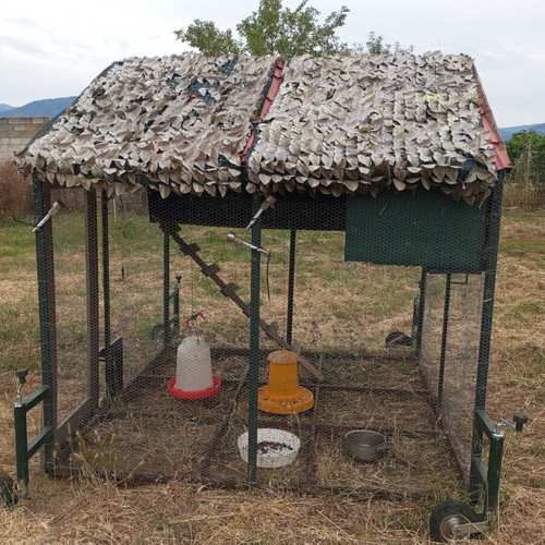 Mobile chicken coop used with automatic timer door