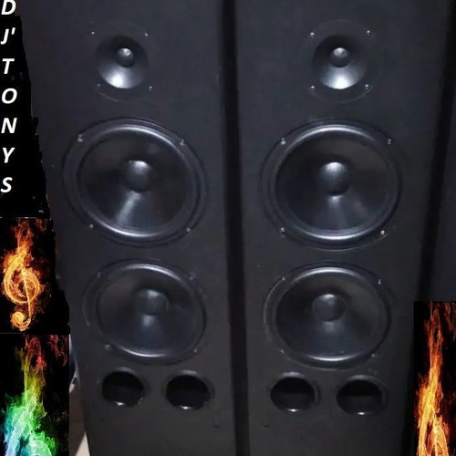 Roister Emphasis 30 speakers used, 200 watt, two pairs
