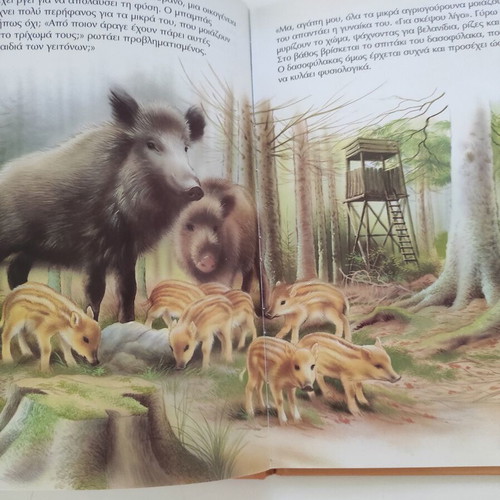 Ta zoakia sto dasos children's book used