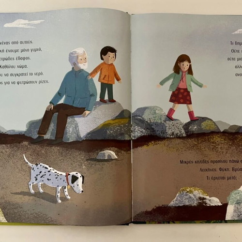 Book How the Forest Is Created like new, children’s