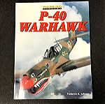  P-40 Warhawk