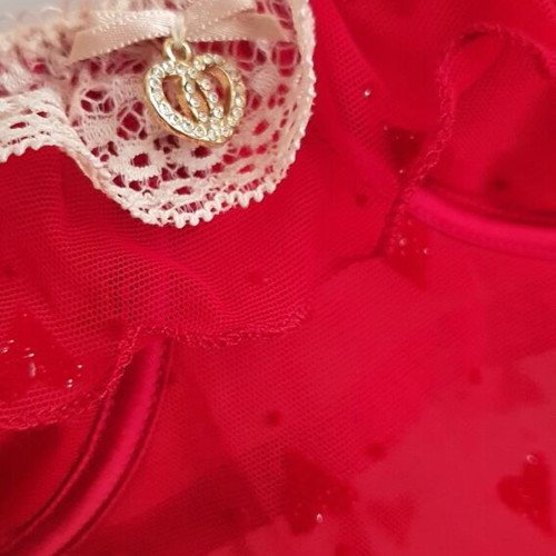 Intimissimi lingerie new with red hearts