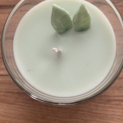 Soy Wax Candle Fresh Mojito