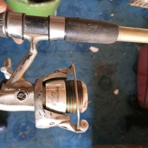Fishing rod with reel used for fishing