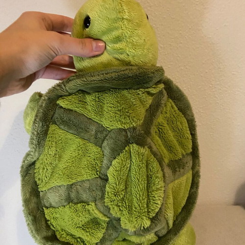 Carpisa backpack like new, green turtle design