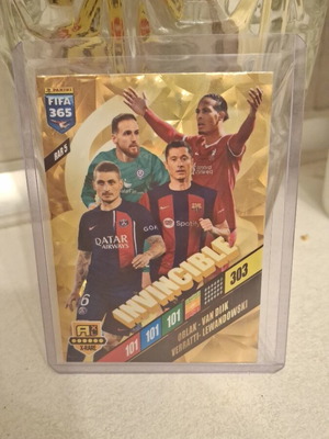 Invincible Panini Adrenalyn XL 2024 card