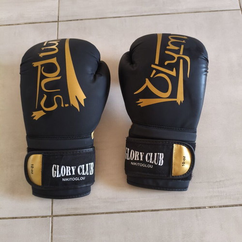 Olympus 10oz Boxing Gloves like new