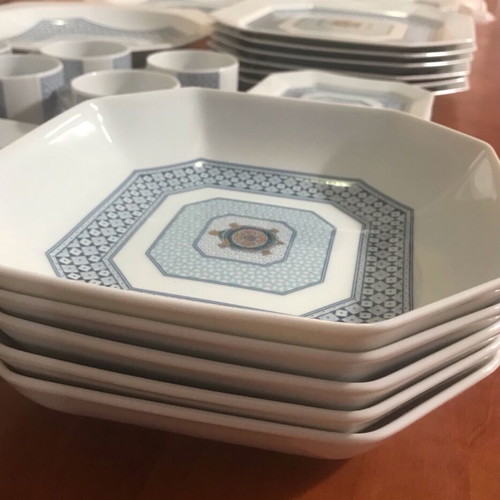 Bernardaud Limoges France Galapagos set like new with porcelain plates and cups