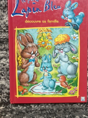 Children's book Le petit lapin bleu used, hardcover, French