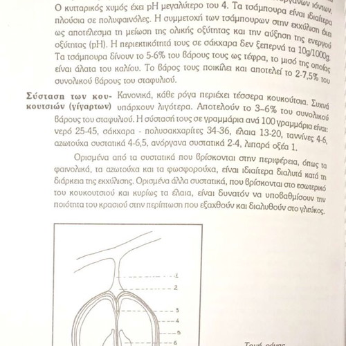 Oenology From Grape to Wine by Argyris Tsakiris used, Greek