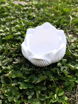 Gypsum planter new for decoration
