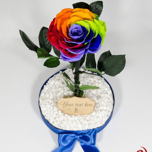 Rainbow Eternal Rose in Large Glass Dome made to order