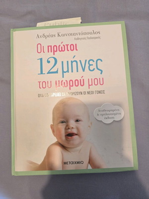 Book The First 12 Months for New Parents new