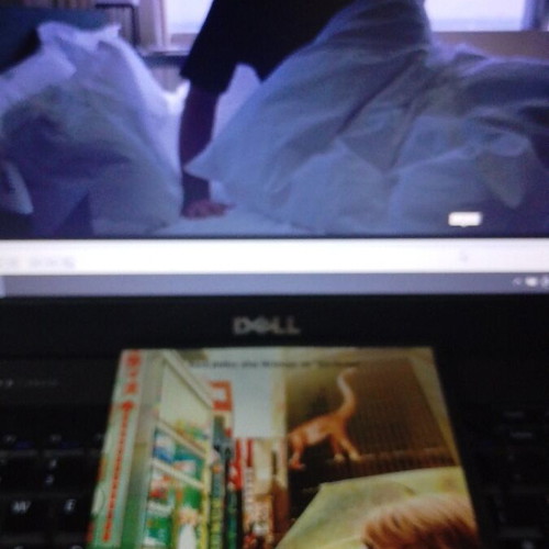 Lost in Translation DVD like new, social drama, subtitles