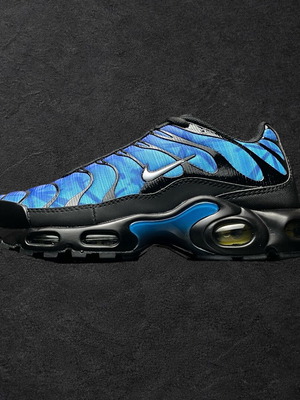 Nike Air Max Plus TN 25th Anniversary like new, size 44, multicolor