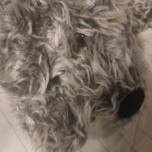 Stuffed dog mom and baby used with Scottish ribbon