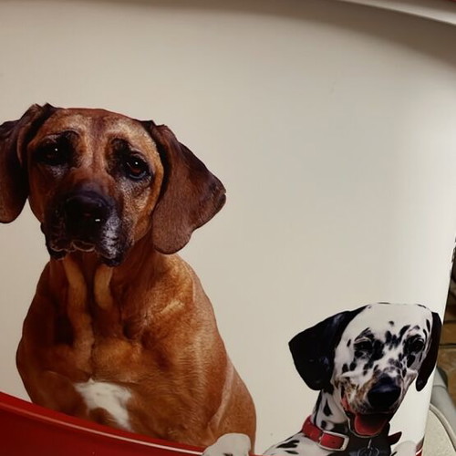Plastic trash bin new with dog prints