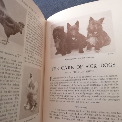 Pets and How to Keep Them book used