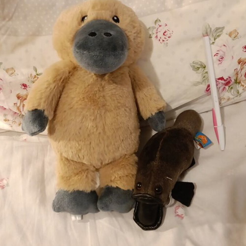 Plush toys platypus set of 2 new