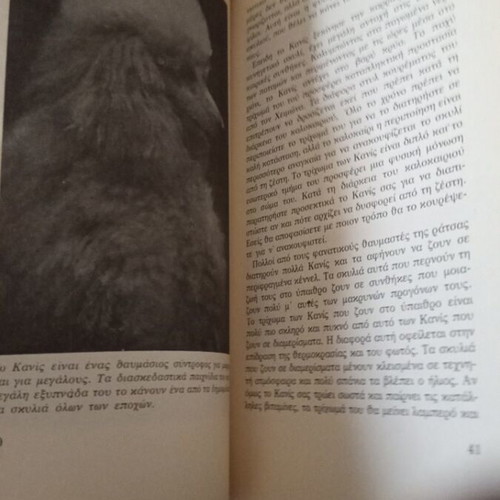 Kanis book by Eric Aberman, 1983, Greek