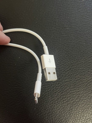 Apple genuine charging cable
