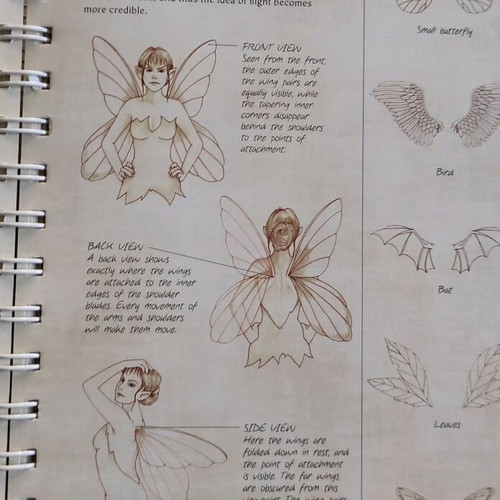 The Fairy Artist's Figure Drawing Bible hardcover spiral-bound like new